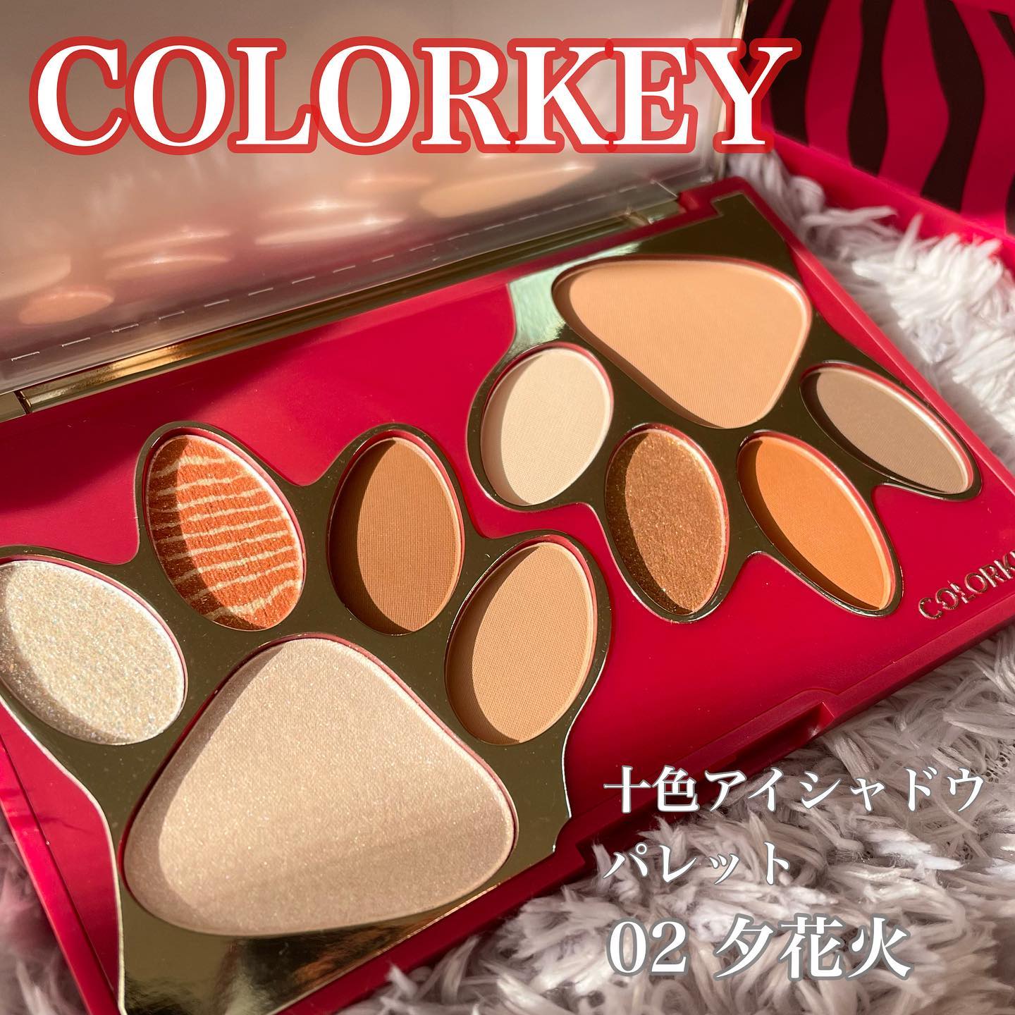 話題の中国コスメブランド《COLORKEY》から豪華強力な登場！発売初日は日本のアイシャドウパレットで3位なる。日本一位を目指す！！ –  Colorkey